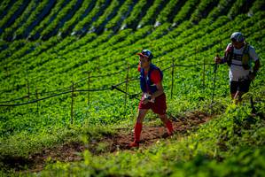 BIB: 
                            <button type="button" onclick="openModal(19161116)" class="btn btn-primary btn-sm float-right btn-popup" data-toggle="modal" data-target=".modal-high-quality">
                        <i class="fas fa-shopping-cart"></i> Add to Cart
                    </button>
                                            <button type="button" onclick="isThisMe(19161116, true)" class="btn btn-success btn-sm float-right btn-popup btn-isme hidden" data-toggle="tooltip" data-placement="bottom" title="นี่คือรูปของคุณใช่ไหม คลิกที่นี่เพื่อเอาเข้าอัลบั้ม">
                        <i class="fas fa-plus"></i> Add to album
                    </button>
                    <button type="button" onclick="isThisMe(19161116, false)" class="btn btn-warning btn-sm float-right btn-popup btn-isnotme hidden">
                        <i class="fas fa-ban"></i> Remove from album
                    </button>